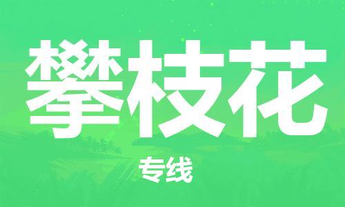 廣州到攀枝花物流公司|廣州至攀枝花貨運(yùn)專線