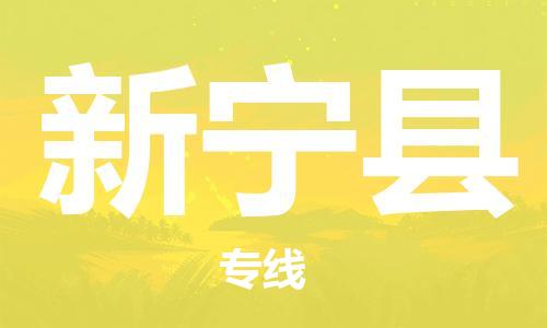 佛山到新寧縣物流專線_佛山至新寧縣物流公司_佛山到新寧縣貨運(yùn)專線