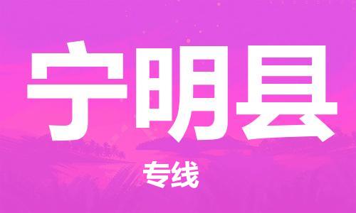 廣州到寧明縣物流公司|廣州至寧明縣貨運(yùn)專線