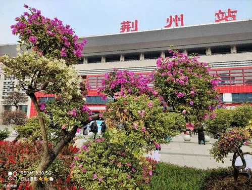 義烏市到荊州物流專線-工廠貨物運輸專線「高效快捷」